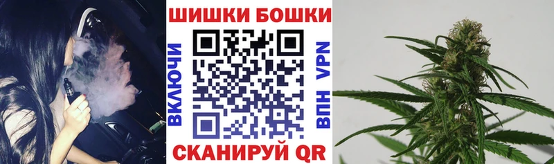 Сколько стоит Кингисепп Марихуана  Cocaine  СК  Мефедрон 