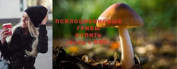 a pvp Алексин