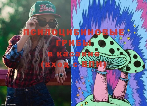 a pvp Алексин
