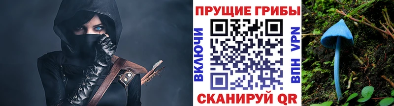 сколько стоит  Кингисепп  Галлюциногенные грибы мицелий 